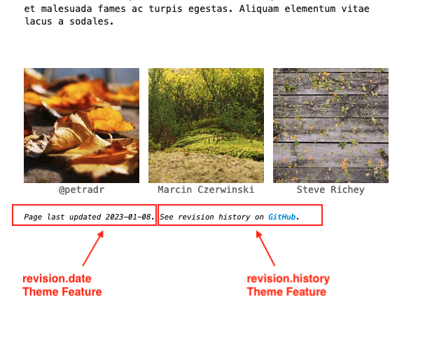 screenshot with revision.date component and revision.history component marked